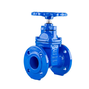 Resilient Seal gate valves
